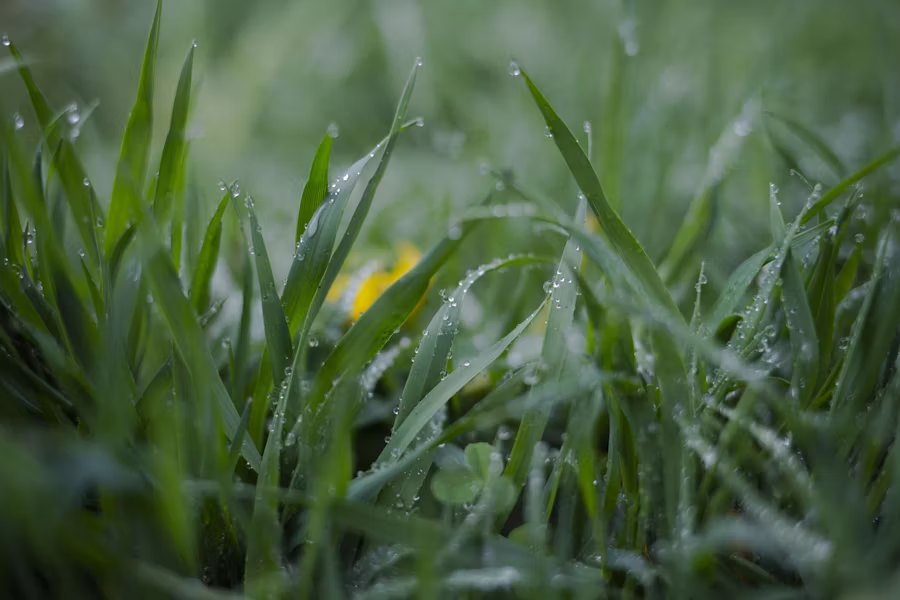 Commercial property entrance with lush greenery zones creating a strong visual identity